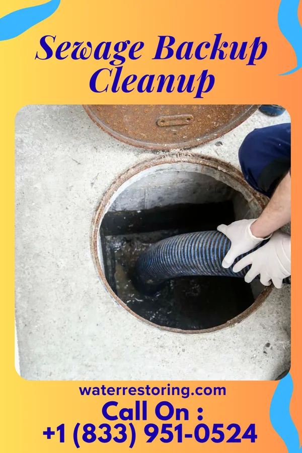 Sewage Backup Cleanup in Saco, ME